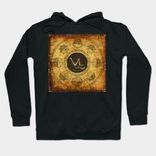 Capricorn - Astrology - Astrological Sign Hoodie